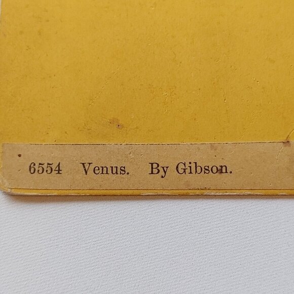 ANTIQUE STEREOGRAPH CARD The Tinted Venus - John Gibson Marble Statue - Picture 5 of 5